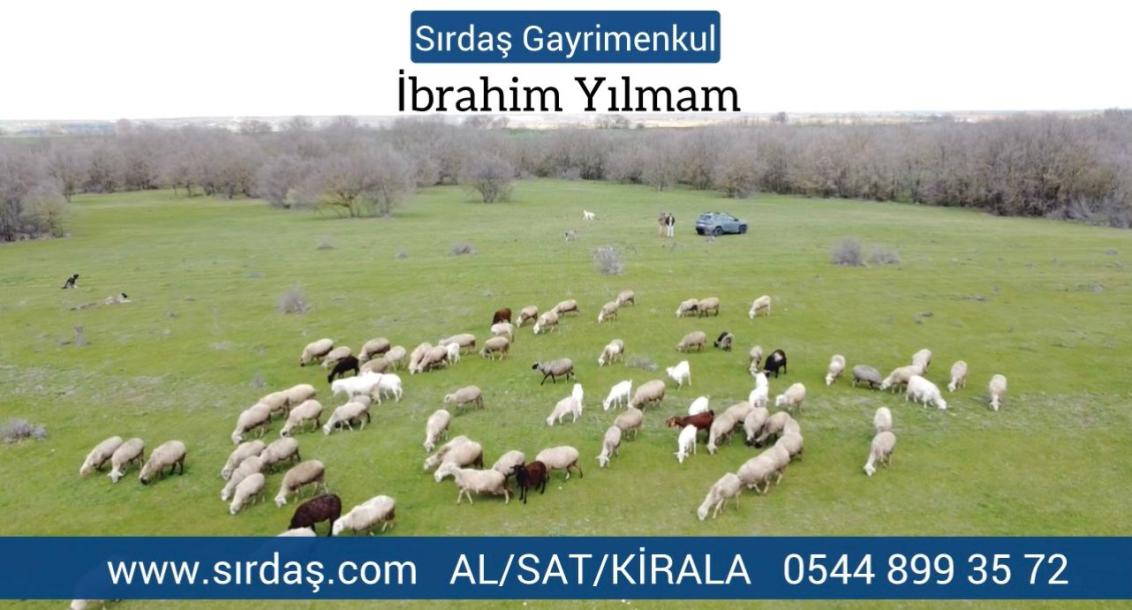 Sırdaş Gayrimenkulden Lüleburgaz Ceylanköyde Satılık Tarla 684M2-7