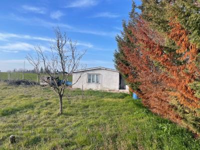 Lüleburgaz'a yakın konumda satılık tarla/bahçe fırsatı!