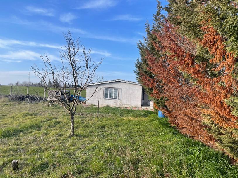 Lüleburgaz'a yakın konumda satılık tarla/bahçe fırsatı!-1