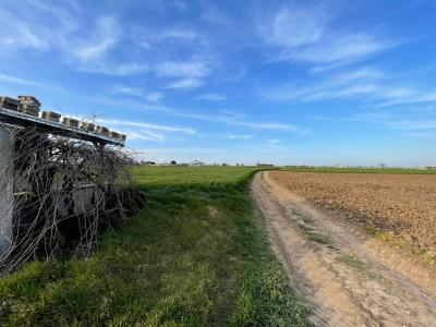 Lüleburgaz'a yakın konumda satılık tarla/bahçe fırsatı!